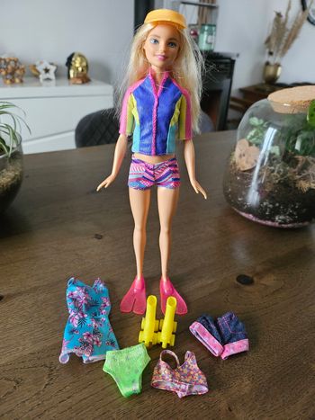 Barbie et accessoires