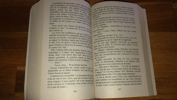 Magnifique roman Le Moulin Du Loup Tome 1 Marie-Bernadette DUPUY - photo numéro 3