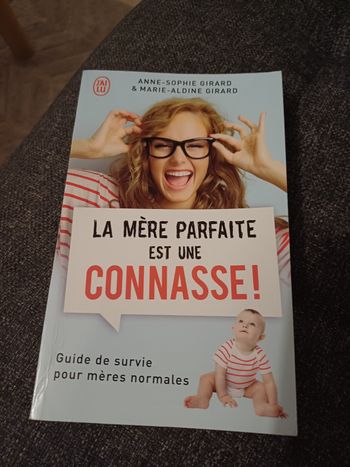 Livre la mère parfaite est une connasse