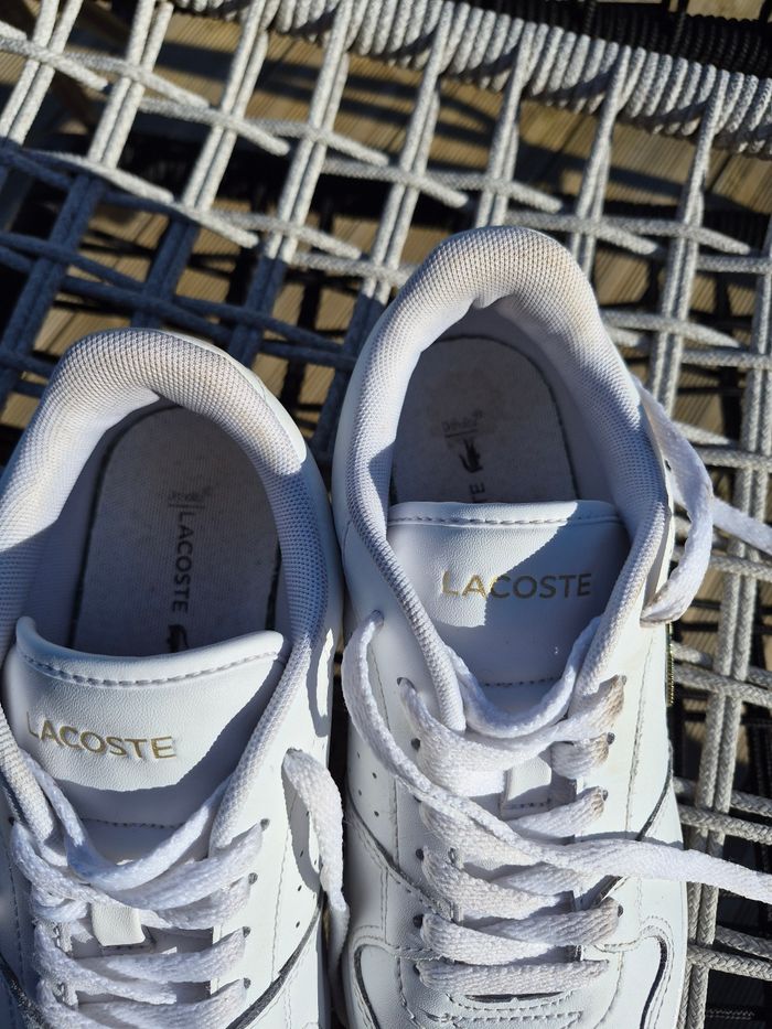 Baskets lacoste - photo numéro 4