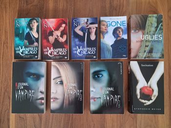 Lot 9 romans d’histoires de Vampires et autres