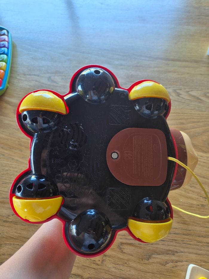 Coccinelle des formes Vetch - photo numéro 4