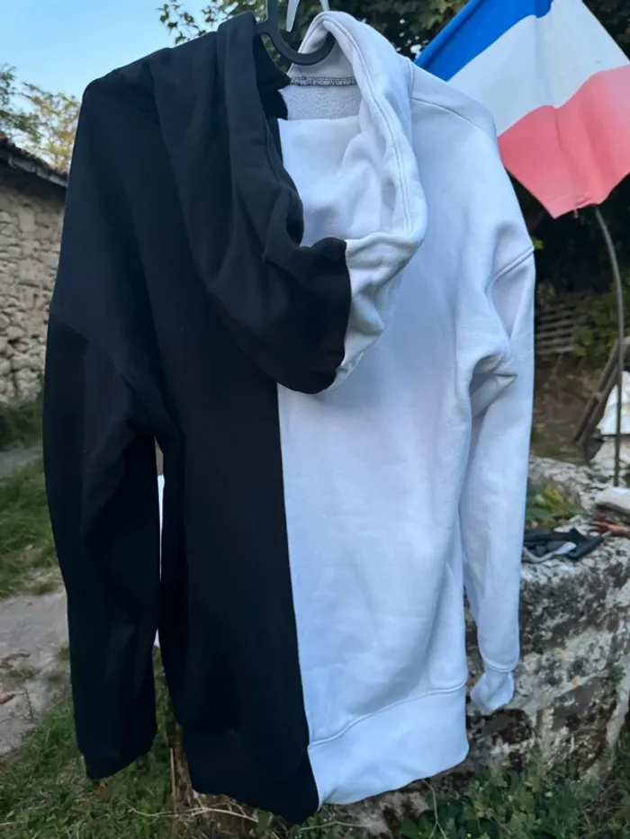 Pull / sweat a capuche champion bicolor - photo numéro 2