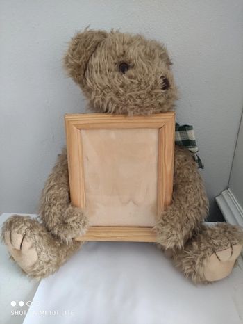 Nounours avec cadre