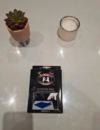 Jeu de magie : le mouchoir volant