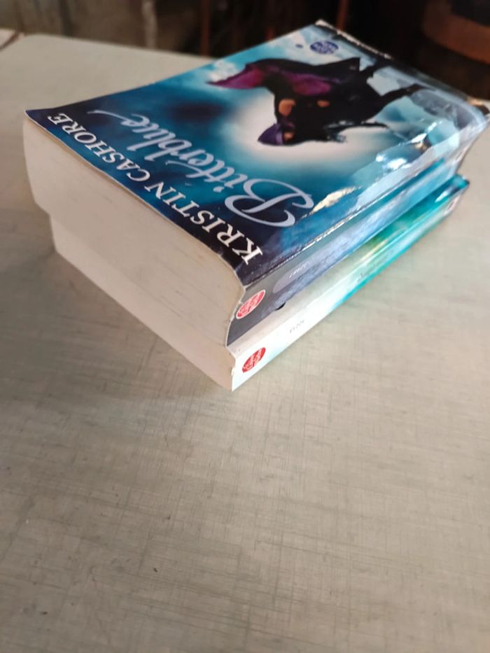 Lot 2 livres graceling et bitterblue - photo numéro 4