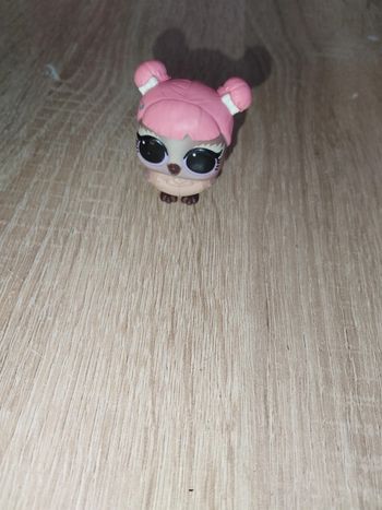 Hibou lol surprise
