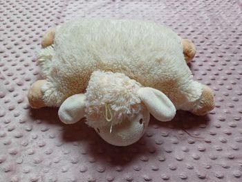 Peluche et protège ceinture
