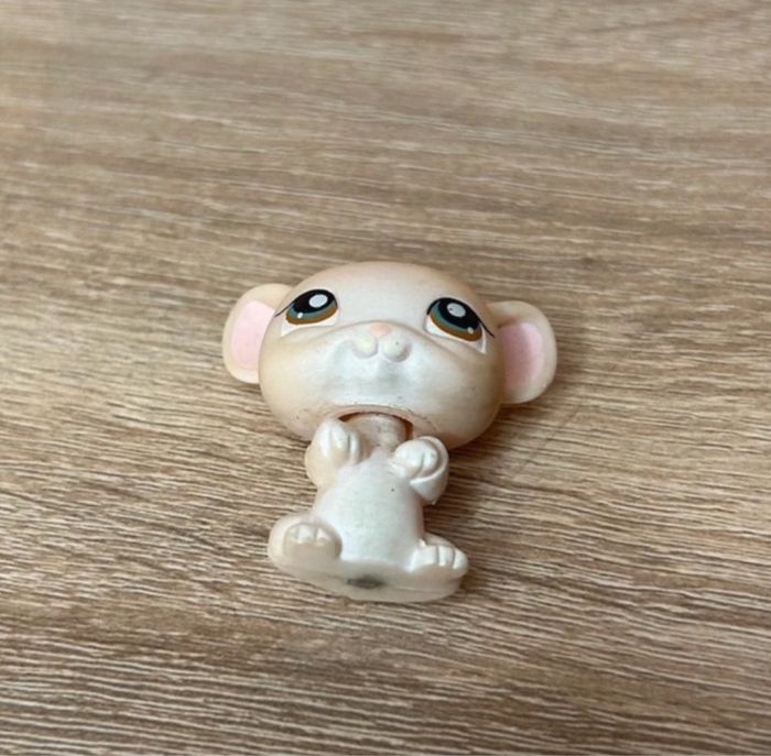 Petshop Souris - photo numéro 2