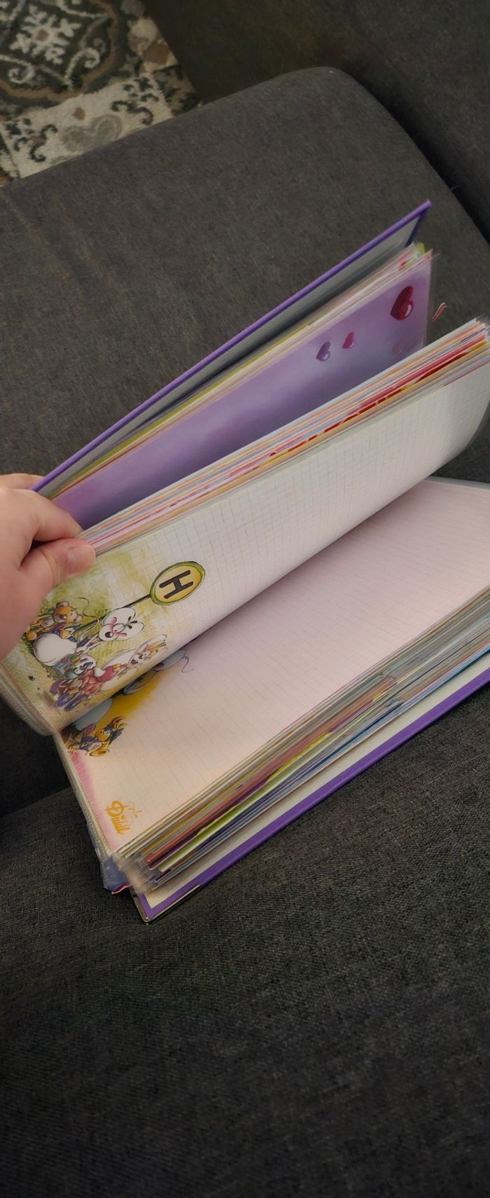 Classeur diddl - photo numéro 2