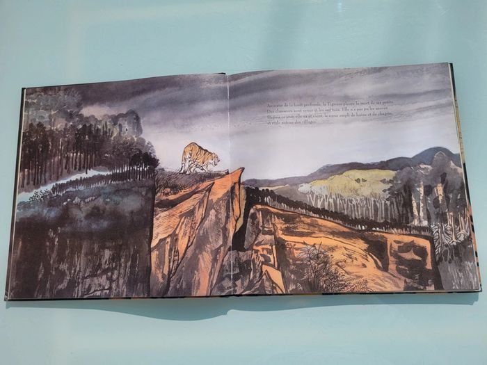 Beau livre grand format dos toilé Le Prince Tigre - photo numéro 5