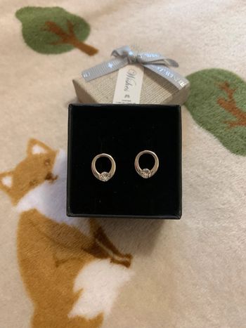 Boucles d'oreilles Mini Ring