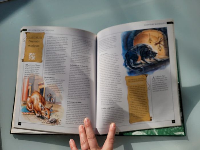 Encyclopédie du Fantastique et de l'Étrange, Tome 1 : Fées et Dragons 🐉 - photo numéro 11