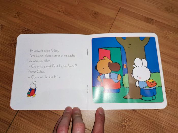 Petit Lapin Blanc est un coquin - photo numéro 9