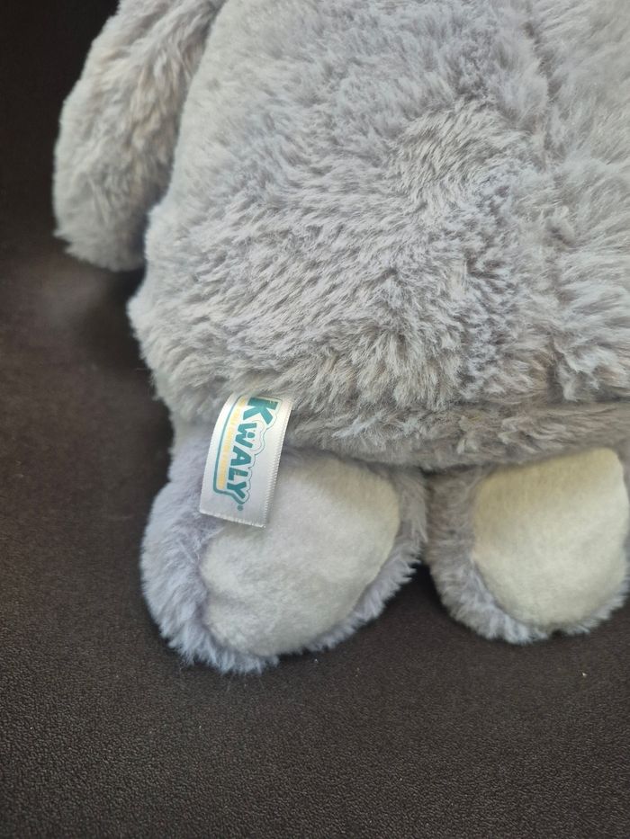 Koala compteur d'histoires - photo numéro 5