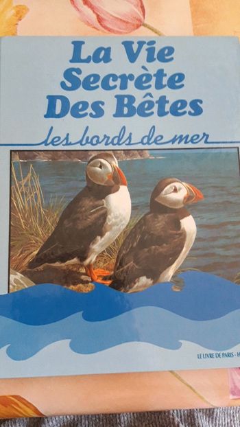La vie secrète des bêtes de bords de mer