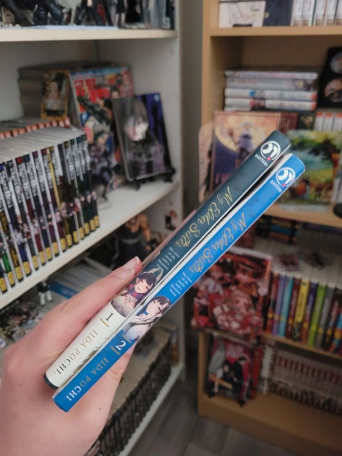 Manga my elder sister tomes 1 et 2 - photo numéro 3