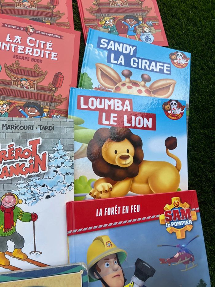 Gros lot de livres divers ( pas de vinted go ) - photo numéro 14