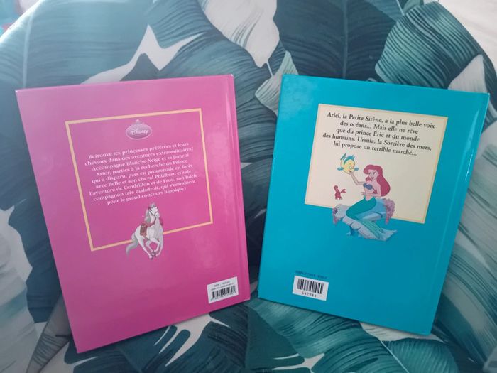 Lot de 2 livres disney tbe - photo numéro 2