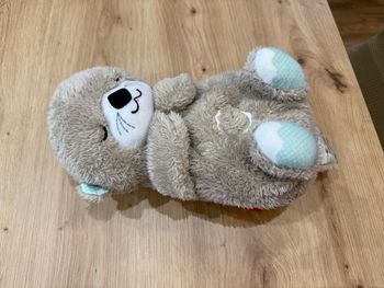 Veilleuse loutre Fisher price 