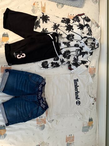 Short , chemise et t-shirt