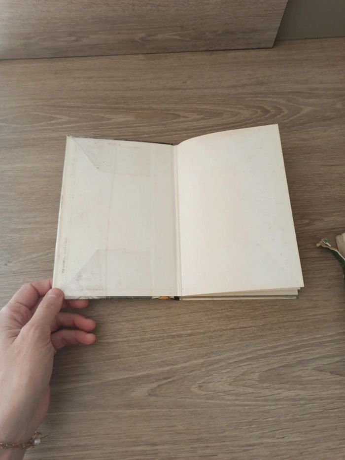 Livre fleurs des prés et des champs - photo numéro 4