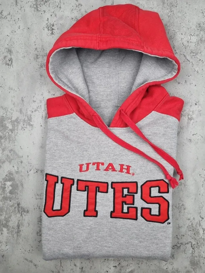 Pull capuche universitaire gris/rouge, L Hommes - photo numéro 2