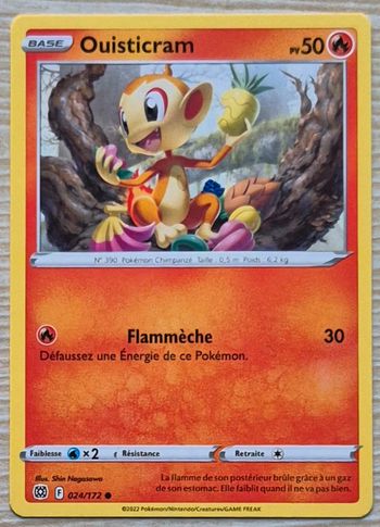 Ouisticram Stars Étincelantes