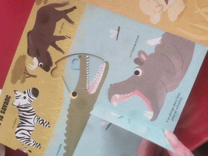 Les animaux du monde - photo numéro 2