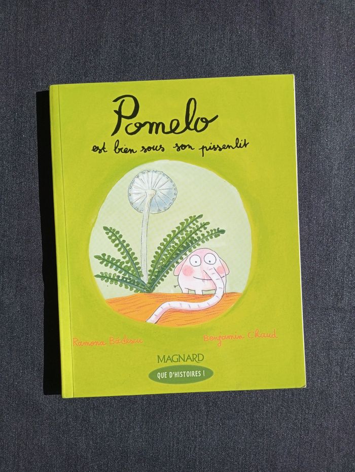 Lot de 16 livres illustrés pour enfants - photo numéro 10