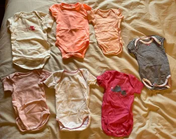 Bodies manches courtes