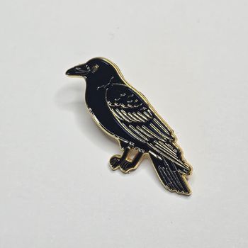 Pin's OISEAU CORBEAU 