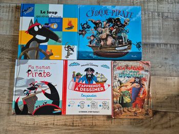 Lot de 5 livres sur le thème des pirates