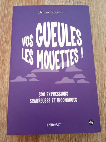 Bruno Gravelet 🪅 Vos gueules les mouettes!