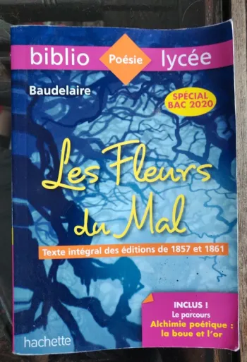 Les fleurs du mal Baudelaire