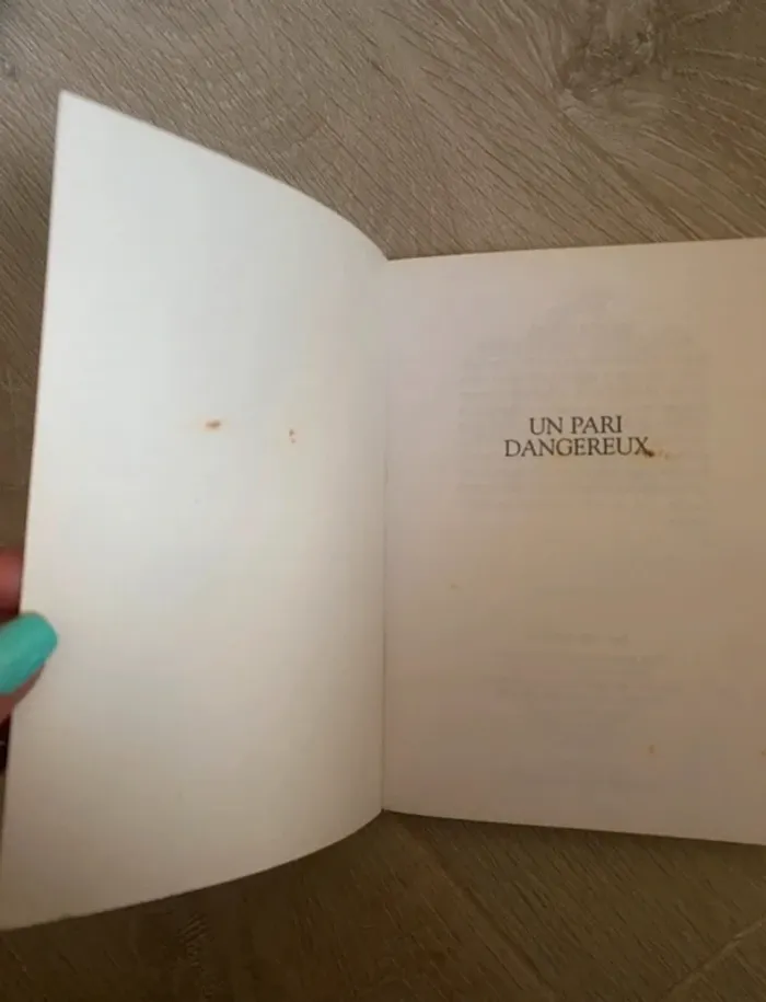 Livre grand galop : un pari dangereux - photo numéro 2