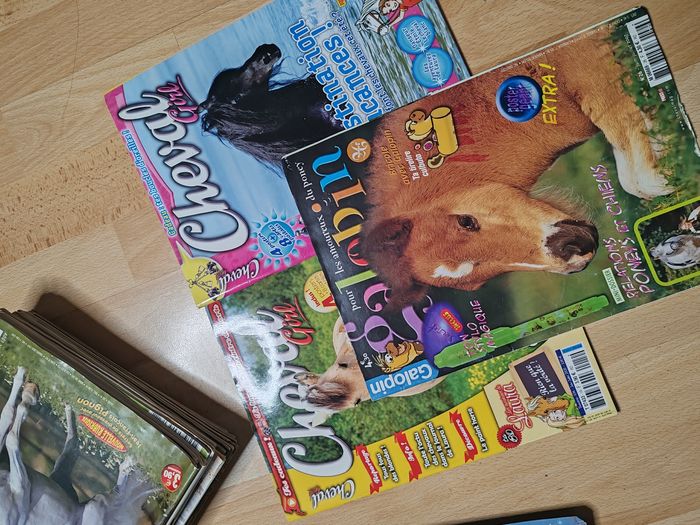 Lot de 19 Magazines Cheval Star +Spéciale Posters + Galopin + 2 Cheval Girl - photo numéro 3