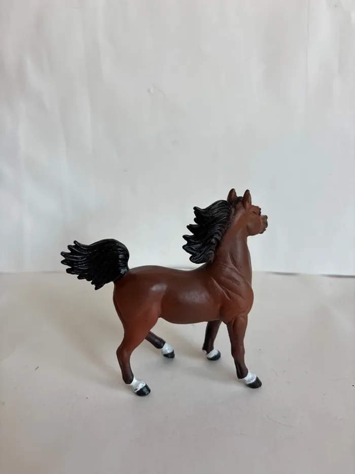 Cheval arabe safari ltd - photo numéro 2