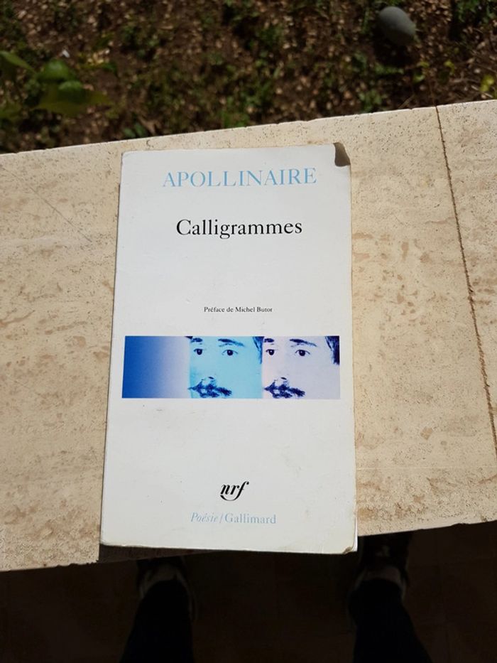 Calligrammes - Apollinaire