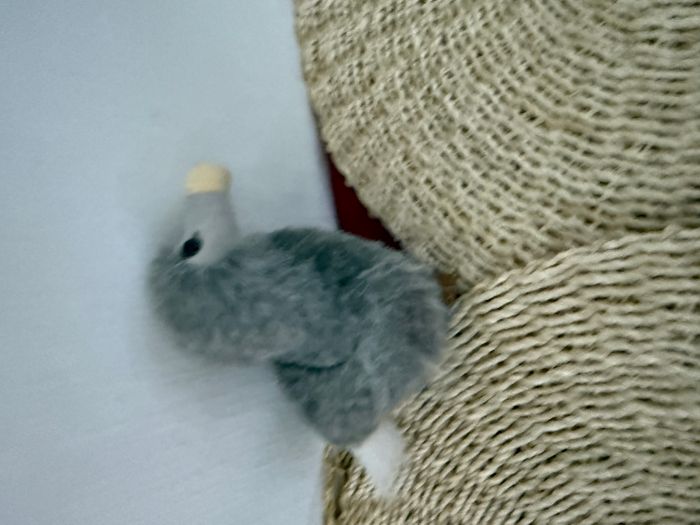 Peluche Oiseau Dodo gris Île Maurice Mauritius neuf Wally Plush Toys - photo numéro 4