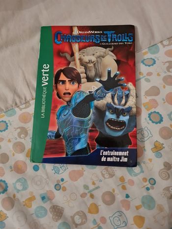 Livre chasseur de trolls
