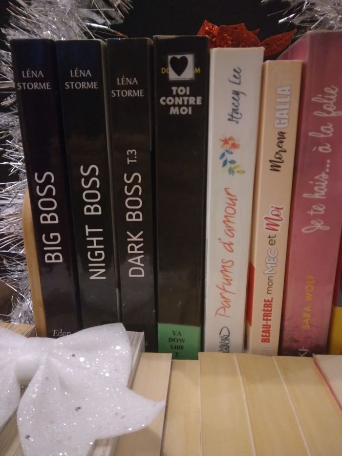 Calendrier de l'avent livresque (24 livres) - photo numéro 2