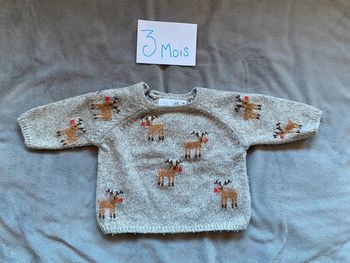 Pull rennes