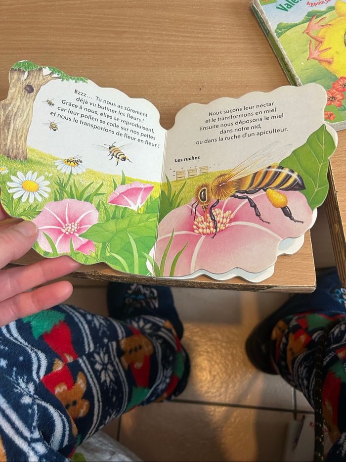 lot de livre +25 livres - photo numéro 9