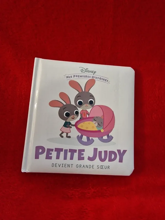 Livre mes premières histoires Disney petite judy devient grande sœur