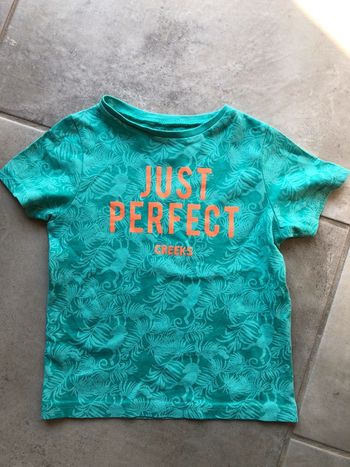 Tee shirt t shirt enfant bébé garçon Pat & Ripaton taille 18 mois