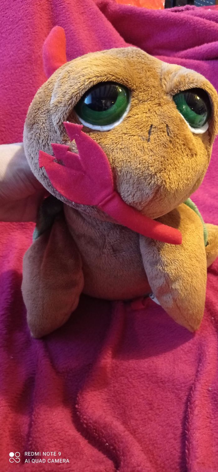 Tortue démon - photo numéro 3