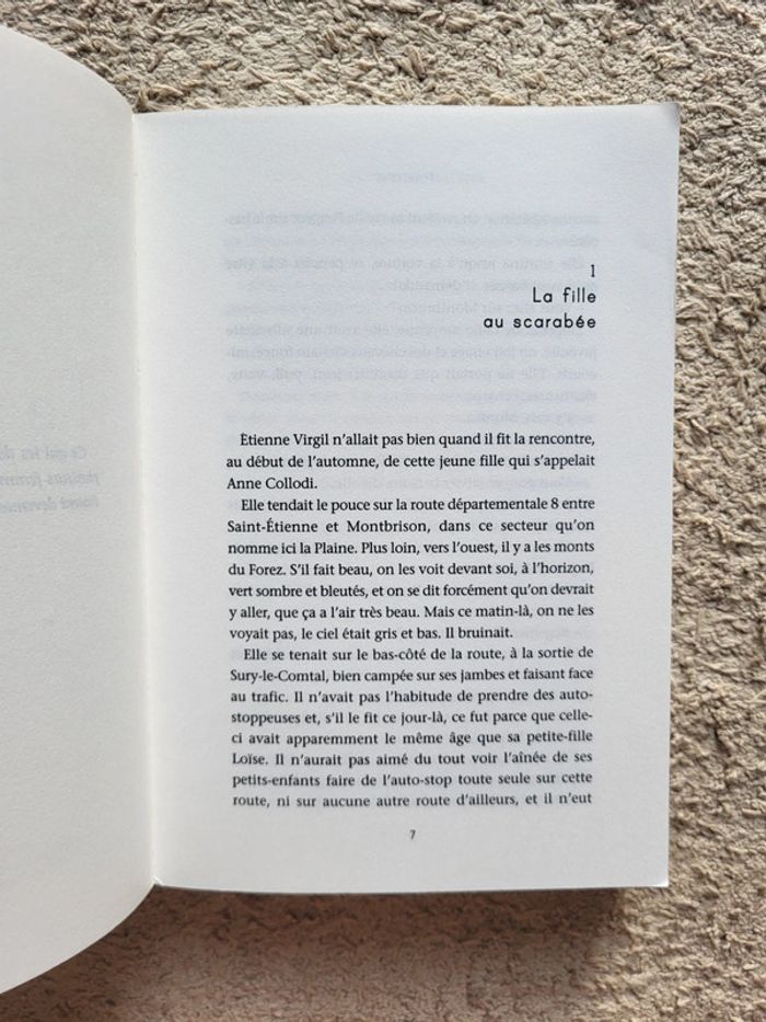 Livre Terrienne de Jean-Claude Mourlevat - photo numéro 5