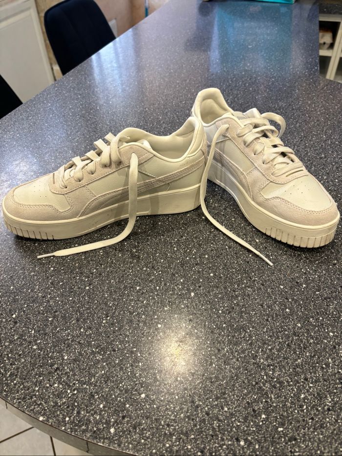 Puma Carina - photo numéro 5