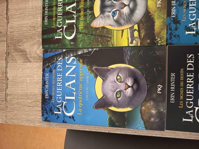 La guerre des clans - photo numéro 2